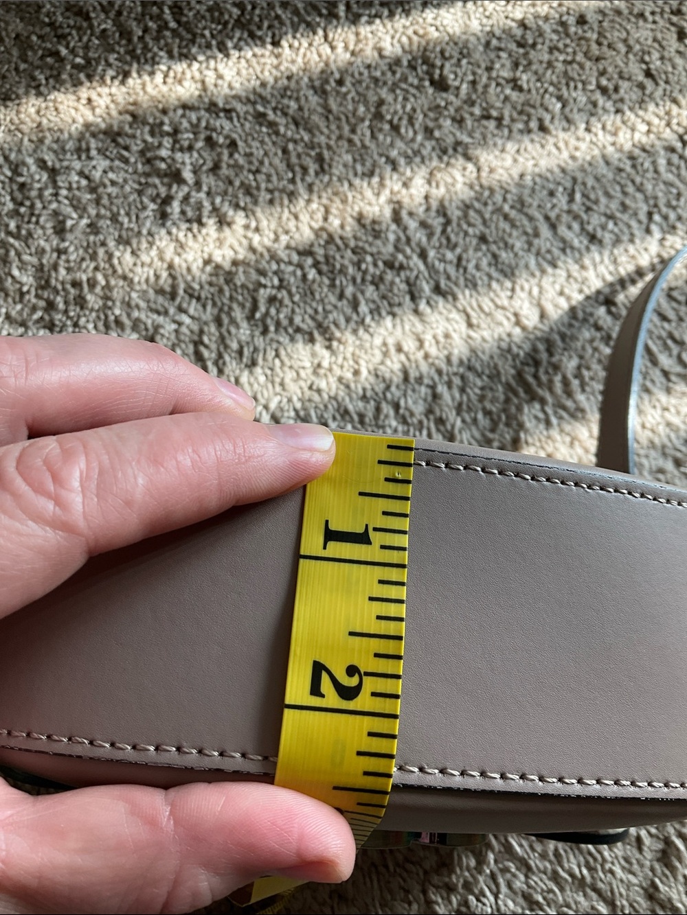 Taupe Leather Crossbody Bag - Picture 12 of 12